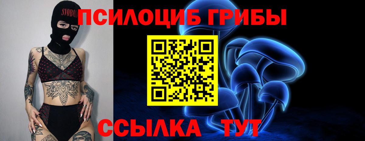 Псилоцибиновые грибы MAGIC MUSHROOMS  Вход с VPN  дарнет шоп  Кисловодск 