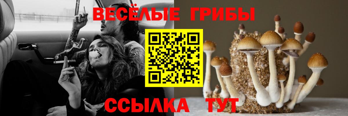 Бошки Шишки Кисловодск